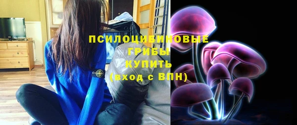 спайс Горнозаводск