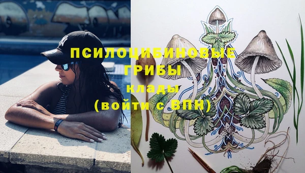 марки nbome Горняк