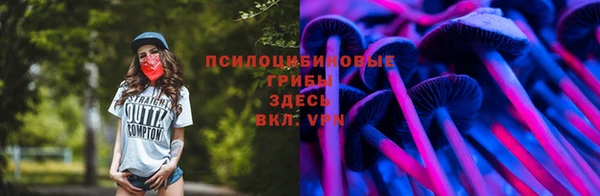 молекула духа Горно-Алтайск