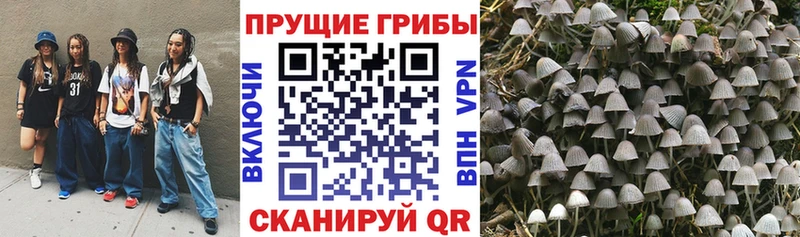 Галлюциногенные грибы мицелий  купить наркоту  Мончегорск 