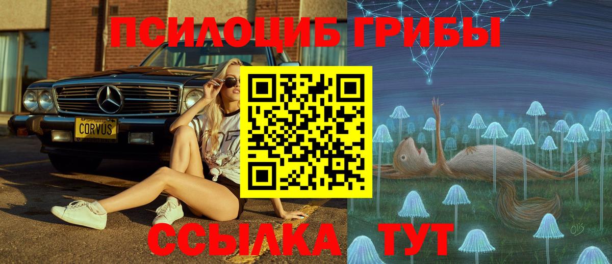 Мончегорск  Псилоцибиновые грибы Magic Shrooms  Вход с VPN 